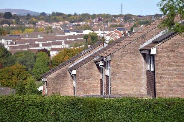 Energy expert says keeping boiler at certain temperature could save £57