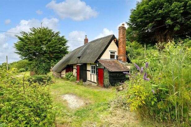 Two authentic cottages for sale and one still comes with an outside toilet