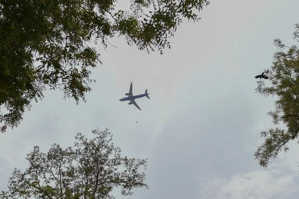Air India plane pilot promised he would quit days before doomed flight