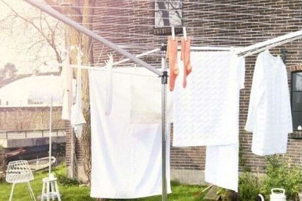 Amazon halves the price of the 'best washing line ever' and fans say 'if you know, you know'