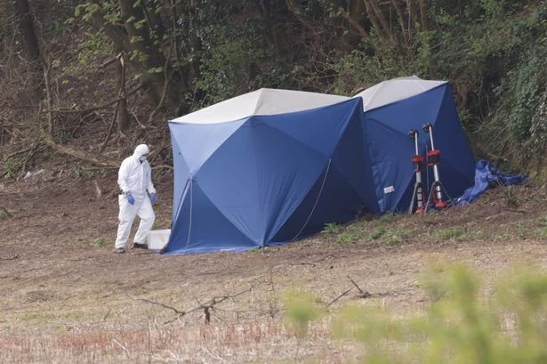 Skeletal remains discovered in Midlands field confirmed to be human