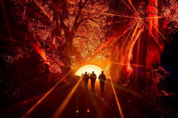 Immersive experience as magical light trail heads to West Midlands