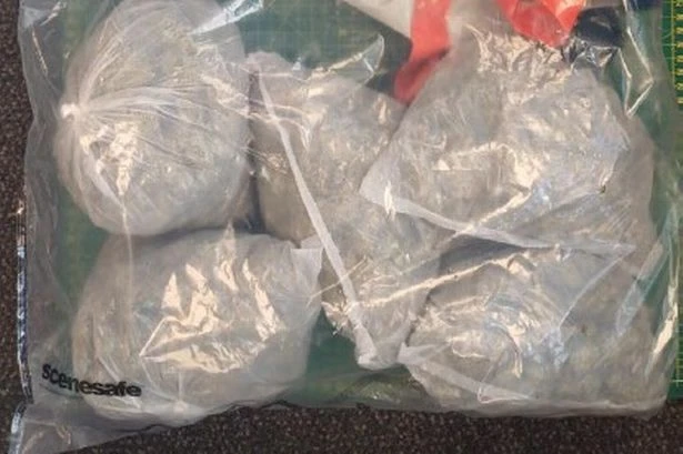 Schoolgirl, 13, and five others arrested after £20k cash found in garden