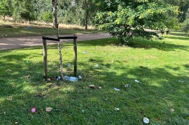 Teen stabbed in Birmingham park 'serious but stable' as police issue 'concerning' update