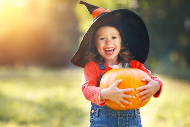 UK households warned against putting pumpkins outside this Halloween