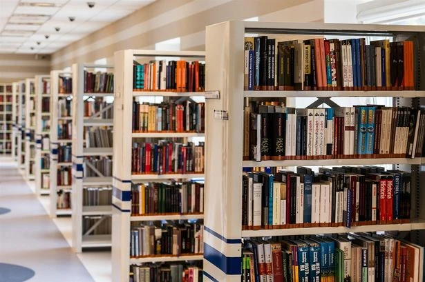 Thief sold stolen library books on eBay and Amazon 'for the buzz'