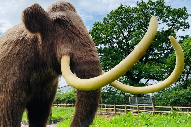 Wowcher selling Hoo Zoo family ticket for £29 instead of £64 in 'bargain' summer deal