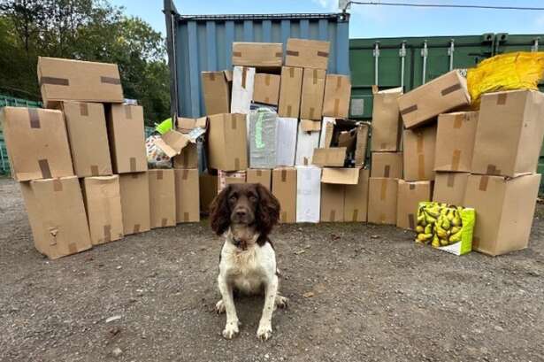 'One of largest seizures ever' as illegal cigarettes worth £400k found in Walsall shops and unit