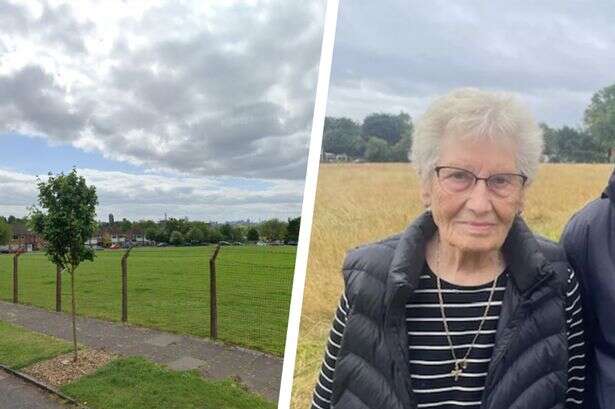 'Village green' saved for Birmingham neighbourhood - after council department wanted to sell it off