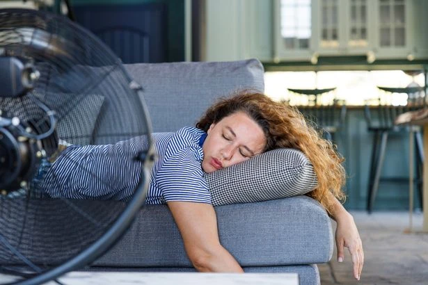 Simple task you need to do now that can help keep your home cooler during the heatwave