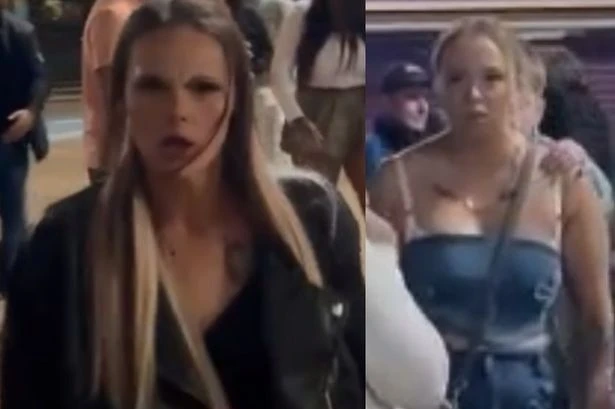 Woman 'hit multiple times' in early hours attack