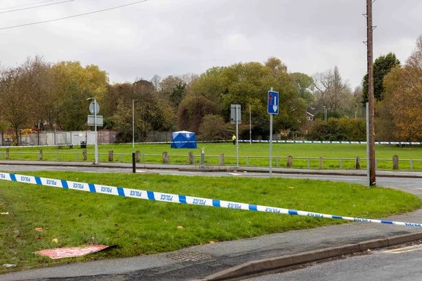 Friend of man 'chopped at with machete by 12-year-old boys recalls running for his life during park face-off'