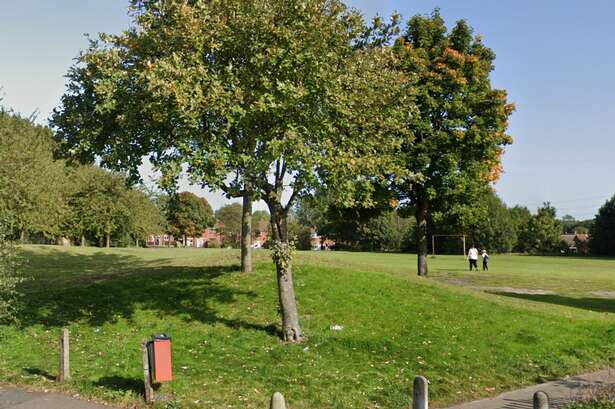 M5 ‘green buffer’ and playing fields on list of Sandwell Council sites to go under hammer