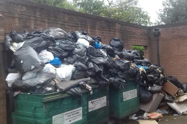 'Gut-wrenching' smell from dead rats in overflowing rubbish 'not collected for four weeks'