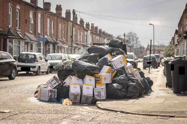 Birmingham bin strike action demand over 'rats the size of feet'