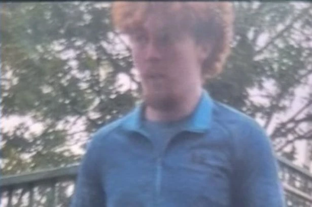 Man knocked out in daylight assault as police launch appeal
