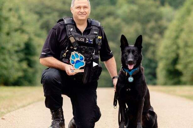 Major life update for police dog who survived machete stab as he 'refused to let go of suspect'