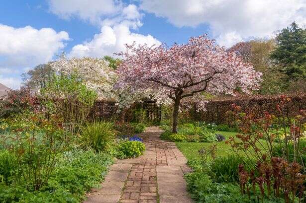 Homeowners could be fined over £2,500 for breaking little-known gardening rule