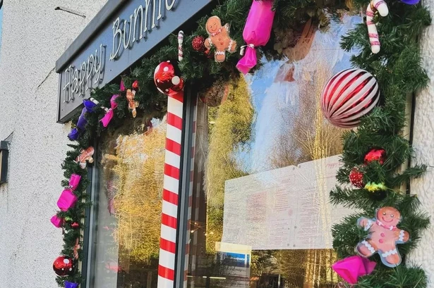 Cafe owner issues 'brilliant' reply to two-star review in row over dog policy