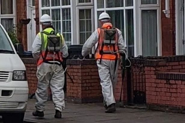 Birmingham Council increases use of controversial weedkiller despite pledge to 'reduce to zero'