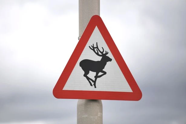 Thousands of drivers face up to £10,000 or even disqualification for common road accident