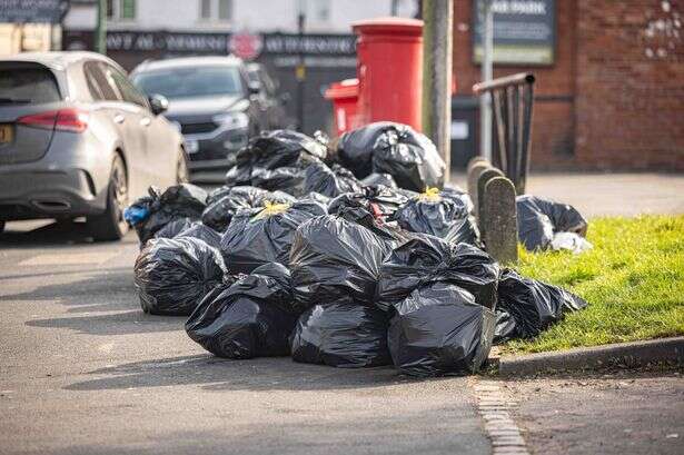 Call for move to fortnightly bin collections in Birmingham to be halted until 2026 amid strike chaos