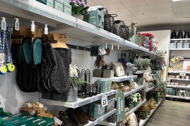 Dunelm's £14 garden feature that 'birds love' and shoppers say 'worth every penny'