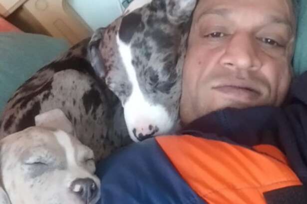 Calls to change 'inhumane' renting rules as man left homeless due to pet dogs