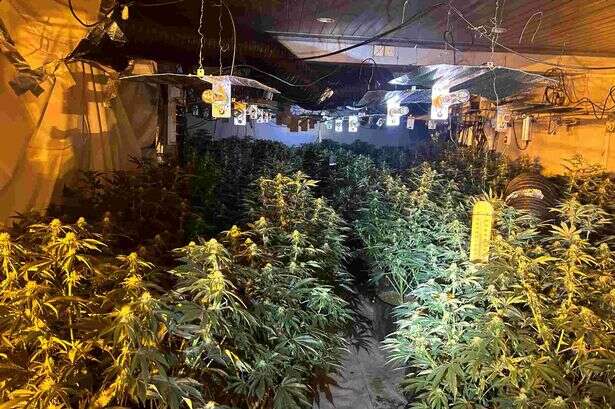 Cannabis farm and 'living quarters' found inside 'unsafe' Nuneaton pub