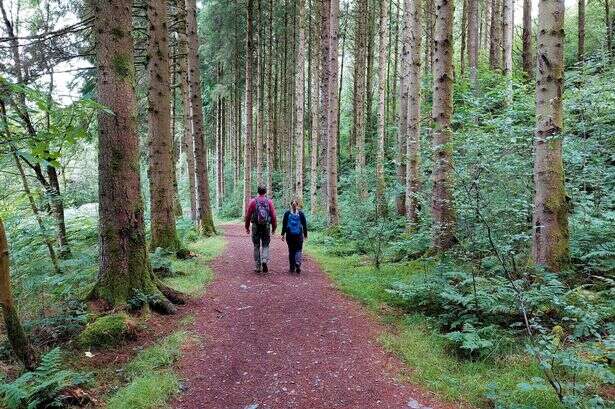 The 'get away from it all' forest walk and brewery that's a scenic train ride from Birmingham