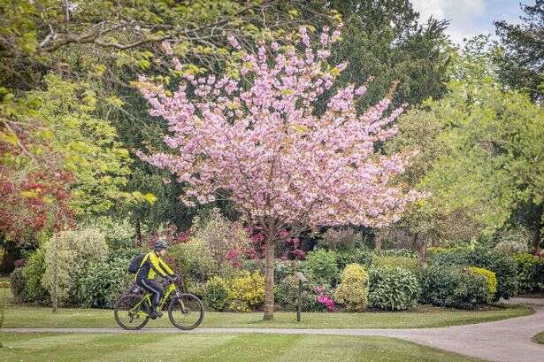 Four ways Birmingham’s beloved parks could change as critical budget decision approaches