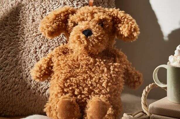 Cockapoo lovers 'thrilled' over 'cuddly' £10 Dunelm hot water bottle