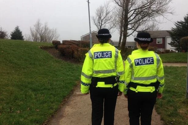 Man who damaged city hospice sculptures lands big legal bill