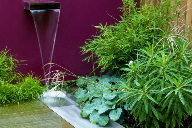 Gardeners warned wrong species of popular border plant is an invasive nightmare