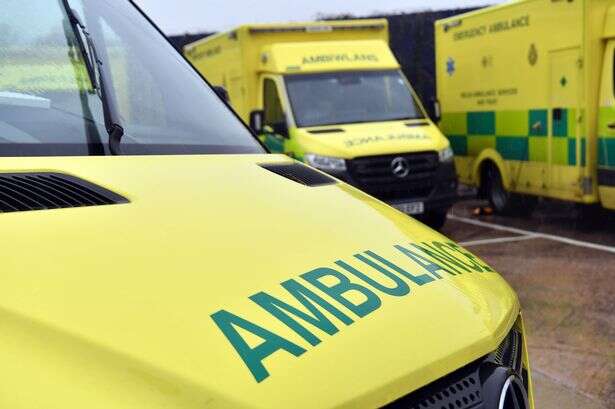 Full list of ambulance handover delays by NHS Trust as winter pressures hit