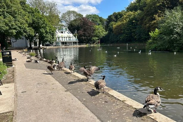 Inside the Birmingham park café that can't be found on Google Maps