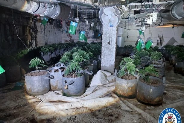'Major' cannabis farm busted on Midlands high street after call from British Gas