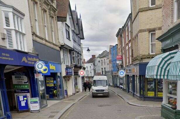 Police hunt for man who kicked dog in head on High Street leaving it with brain damage