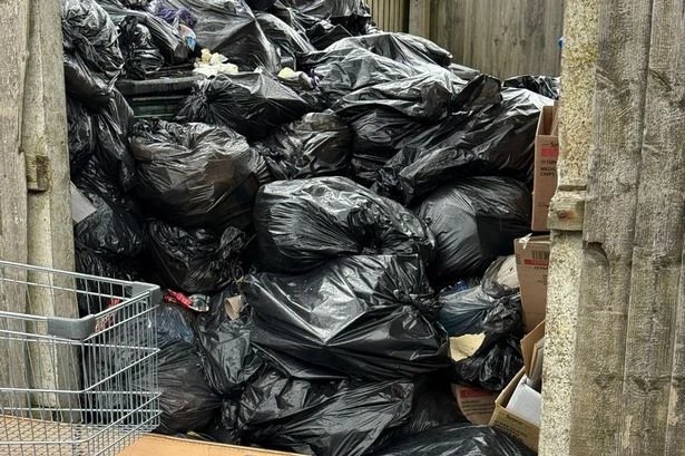 'Health hazard' at Sutton Coldfield school after bins not collected for 9 weeks