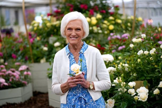 Mary Berry shares truth of Great British Bake Off as she admits 'I didn't want drama'