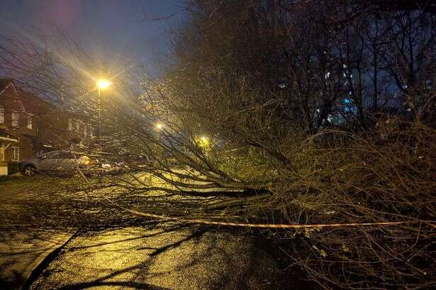 West Midlands Fire Service received 730 calls as Storm Darragh battered region