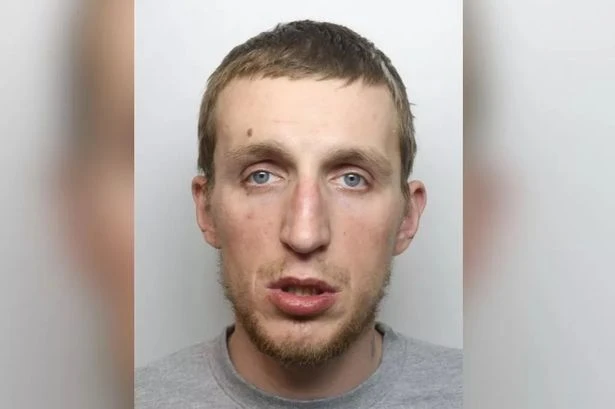 'Menace' crashed head-on into pensioner as he led police on hour-long chase