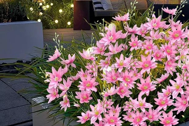 Amazon's £21 garden solar lights that 'look like flowers' are 'beautiful day and night'