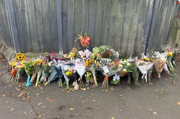 Husband's heartbreak as beloved wife, 49, killed by falling tree branch