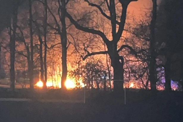 Big fire in Sutton Park 'started deliberately' as Christmas tree stack torched