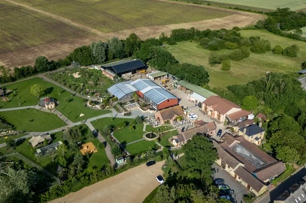 Johnsons Zoo praised for 'heroic' response after boy, 3, 'thrown into crocodile pit'