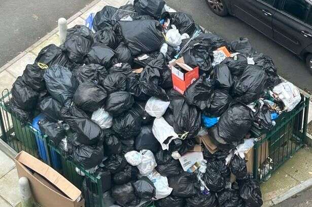 Birmingham flat resident 'totally against bin strike' as 'really quite big rats' raid rubbish