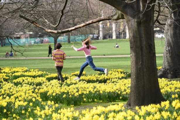 May Bank Holiday and half term things to do around Birmingham