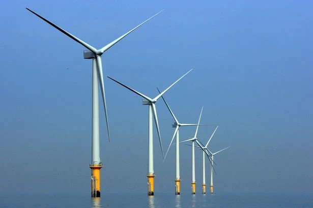 Green energy tariffs plummet as UK households reject them for cheaper deals