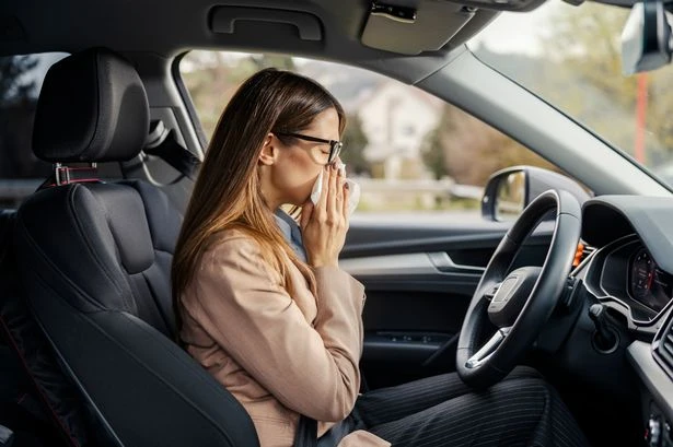 AA issues alert over common blunder that could actually see drivers lose license